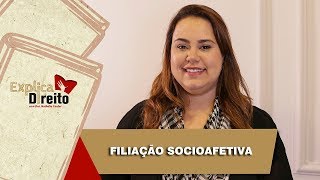 Explica Direito Filiação Socioafetiva  2019 [upl. by Enelrak]